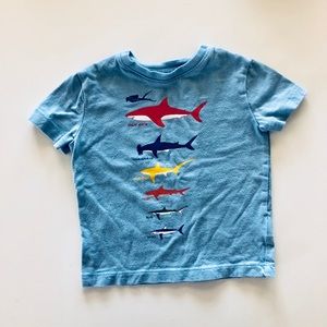 Shark Tee